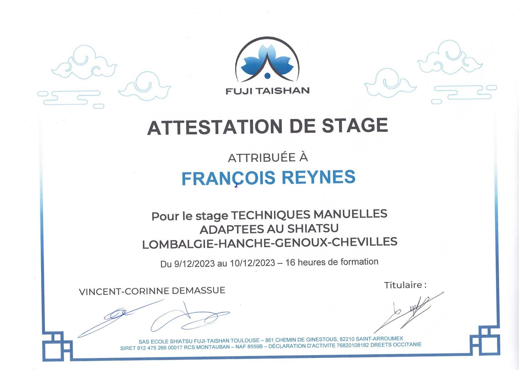 diplôme de spécialisation aux pratiques manuelles adaptées au shiatsu mlombalgie, hanches, genoux et chevilles